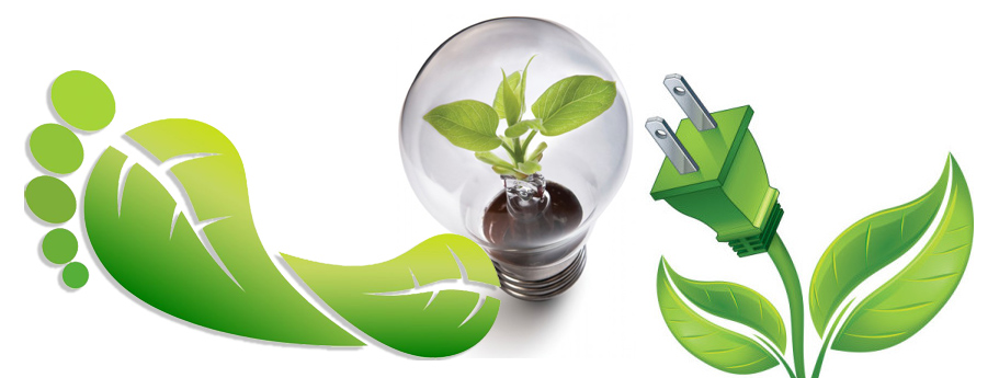 Green Foot, Lightbulb with plant and Plug with plant attached to it